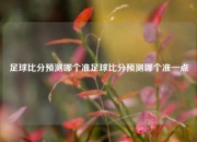 足球比分预测哪个准足球比分预测哪个准一点