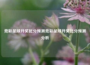 竞彩足球开奖比分预测竞彩足球开奖比分预测分析