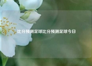 比分预测足球比分预测足球今日