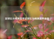 足球比分预测英甲足球比分预测英甲最新