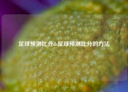 足球预测比分ds足球预测比分的方法