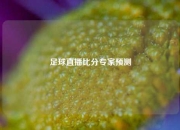 足球直播比分专家预测