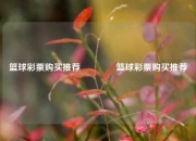 篮球彩票购买推荐👈篮球彩票购买推荐