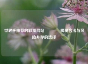 世界杯推荐的彩票网站🌈揭秘合法与风险并存的选择