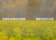 世界杯彩票投注推荐🏅策略与技巧分享