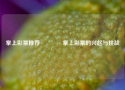 掌上彩票推荐👈掌上彩票的兴起与挑战