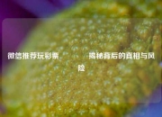 微信推荐玩彩票👍揭秘背后的真相与风险