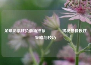 足球彩票胜负最新推荐🥉揭秘最佳投注策略与技巧