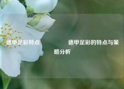 德甲足彩特点🎖️德甲足彩的特点与策略分析