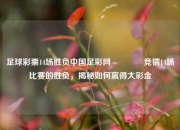 足球彩票14场胜负中国足彩网👉竞猜14场比赛的胜负，揭秘如何赢得大彩金
