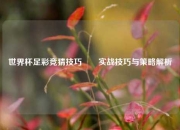 世界杯足彩竞猜技巧✌️实战技巧与策略解析