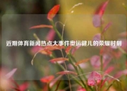 近期体育新闻热点大事件奥运健儿的荣耀时刻