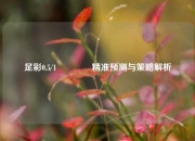 足彩0.5/1🏅精准预测与策略解析