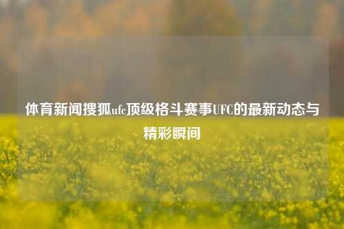 体育新闻搜狐ufc顶级格斗赛事UFC的最新动态与精彩瞬间