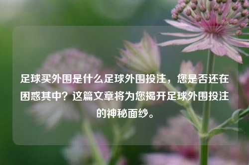 足球买外围是什么足球外围投注，您是否还在困惑其中？这篇文章将为您揭开足球外围投注的神秘面纱。
