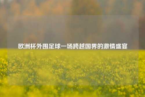 欧洲杯外围足球一场跨越国界的激情盛宴
