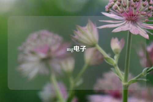 mg电子
