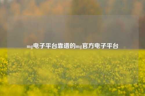 mg电子平台靠谱的mg官方电子平台