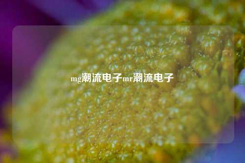 mg潮流电子mr潮流电子