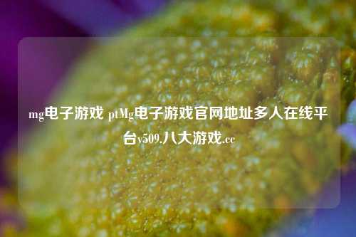 mg电子游戏 ptMg电子游戏官网地址多人在线平台v509.八大游戏.cc