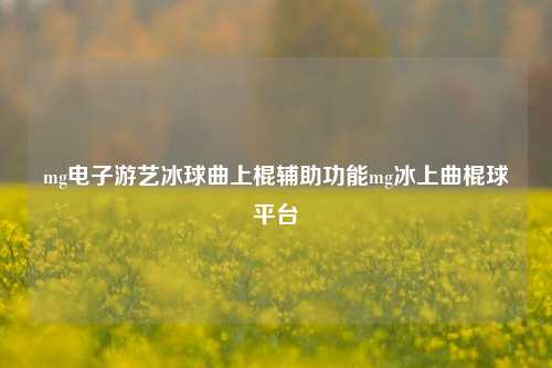 mg电子游艺冰球曲上棍辅助功能mg冰上曲棍球平台