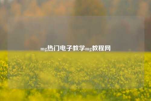 mg热门电子教学mg教程网