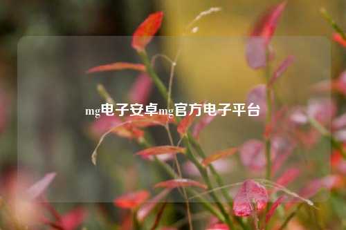 mg电子安卓mg官方电子平台