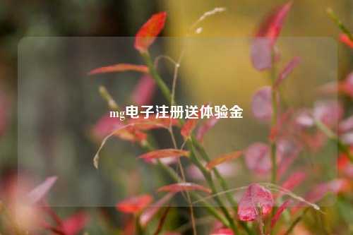 mg电子注册送体验金