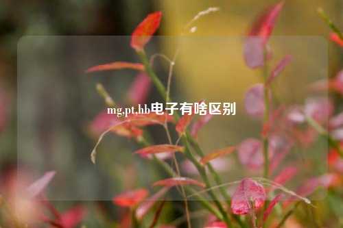 mg,pt,hb电子有啥区别