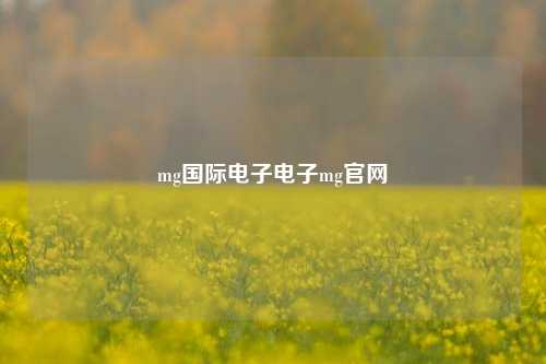 mg国际电子电子mg官网