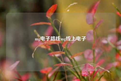 mg电子路线mg线上电子