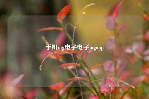 手机mg电子电子mgapp