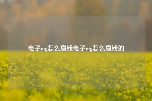电子mg怎么赢钱电子mg怎么赢钱的