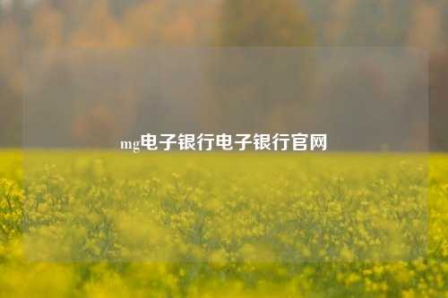 mg电子银行电子银行官网