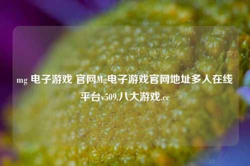 mg 电子游戏 官网Mg电子游戏官网地址多人在线平台v509.八大游戏.cc