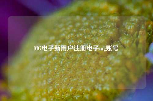 MG电子新用户注册电子mg账号