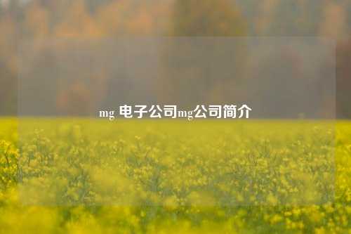 mg 电子公司mg公司简介