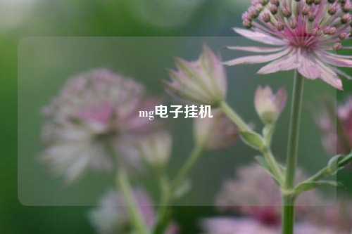 mg电子挂机