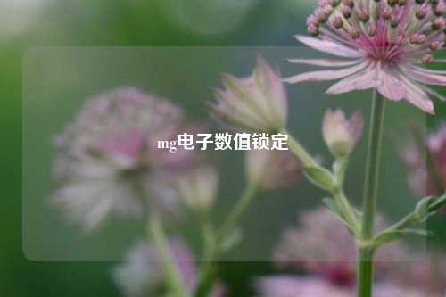 mg电子数值锁定