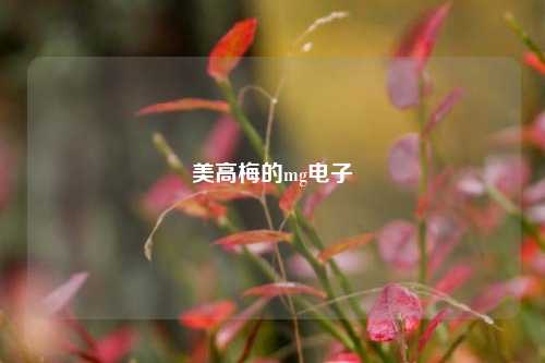 美高梅的mg电子