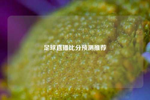 足球直播比分预测推荐