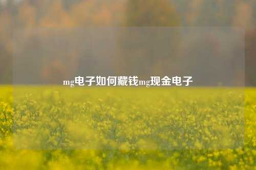 mg电子如何藏钱mg现金电子