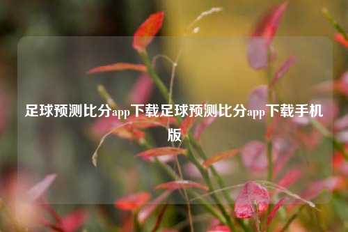 足球预测比分app下载足球预测比分app下载手机版
