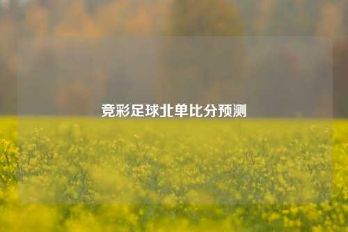 竞彩足球北单比分预测