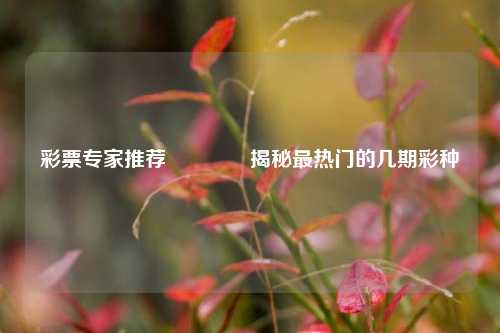 彩票专家推荐🏆揭秘最热门的几期彩种