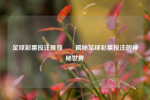足球彩票投注推荐✌️揭秘足球彩票投注的神秘世界