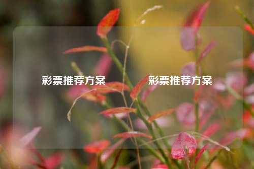 彩票推荐方案🏆彩票推荐方案