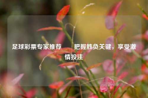 足球彩票专家推荐✌️把握胜负关键，享受激情投注