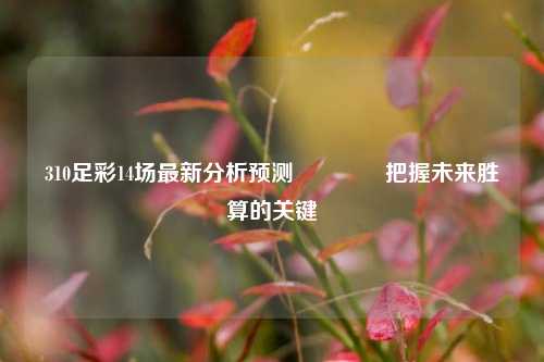 310足彩14场最新分析预测👉把握未来胜算的关键