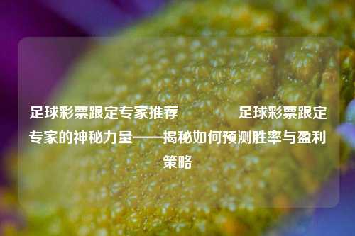 足球彩票跟定专家推荐🏅足球彩票跟定专家的神秘力量——揭秘如何预测胜率与盈利策略